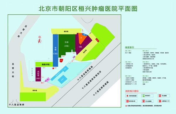 骚逼小视频北京市朝阳区桓兴肿瘤医院平面图